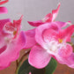Artificial Orchid Plants, Faux Potted Orchids Phalaenopsis Orchids 28cm Potted Orchid in Purple, Pink or White Silk Orchid Flowers