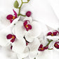 Artificial White & Pink Orchid, Orchid Plant, Orchid Flowers and Leaves for Orchid Plant, White Flowers Gift for Her Real Look Faux