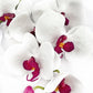 Artificial White & Pink Orchid, Orchid Plant, Orchid Flowers and Leaves for Orchid Plant, White Flowers Gift for Her Real Look Faux