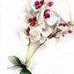 Artificial White & Pink Orchid, Orchid Plant, Orchid Flowers and Leaves for Orchid Plant, White Flowers Gift for Her Real Look Faux
