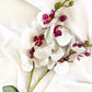 Artificial White & Pink Orchid, Orchid Plant, Orchid Flowers and Leaves for Orchid Plant, White Flowers Gift for Her Real Look Faux